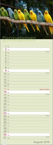 Streifenkalender »Formationen«, 155x485 mm, August