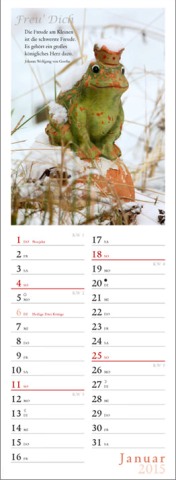 Streifenkalender »Freu' Dich«, 120x390 mm, Januar