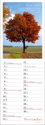 Streifenkalender »Freu' Dich«, 120x390 mm, November