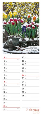 Streifenkalender »Freu' Dich«, 120x390 mm, Februar