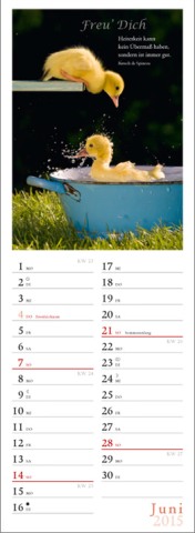 Streifenkalender »Freu' Dich«, 120x390 mm, Juni