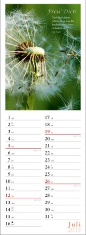 Streifenkalender »Freu' Dich«, 120x390 mm, Juli