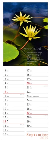Streifenkalender »Freu' Dich«, 120x390 mm, September