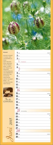 Streifenkalender »Tee und Gewürze«, 155x485 mm, Juni