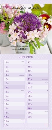 Streifenkalender »Kostbare Weisheiten«, 155x445 mm, Juni
