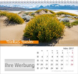 Tischaufstellkalender »Elemente«, personalisiert, März
