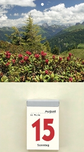 Rückwand für Abreißkalender »Gebirgs- und Landschaftsmotive«, 180x330 mm