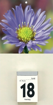 Rückwand für Abreißkalender »Blumenmotive«, 145x295 mm